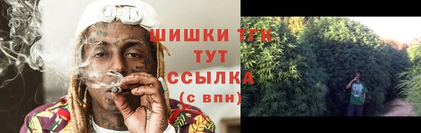 шишки Армянск