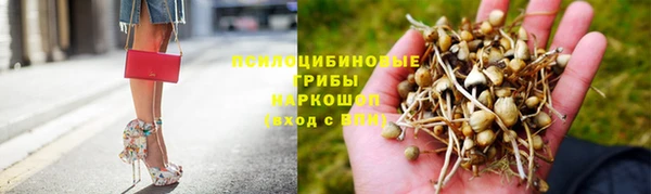 прущая мука Аркадак