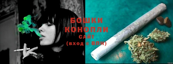 шишки Армянск