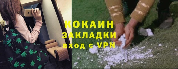 дмт Арсеньев