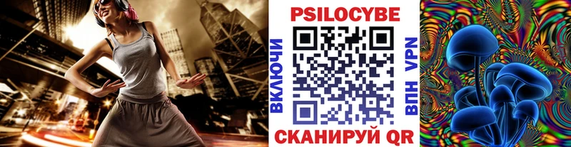 купить   Рыбное  Псилоцибиновые грибы Psilocybine cubensis 